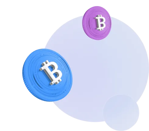 North Elvox - Автоматизированное обучение